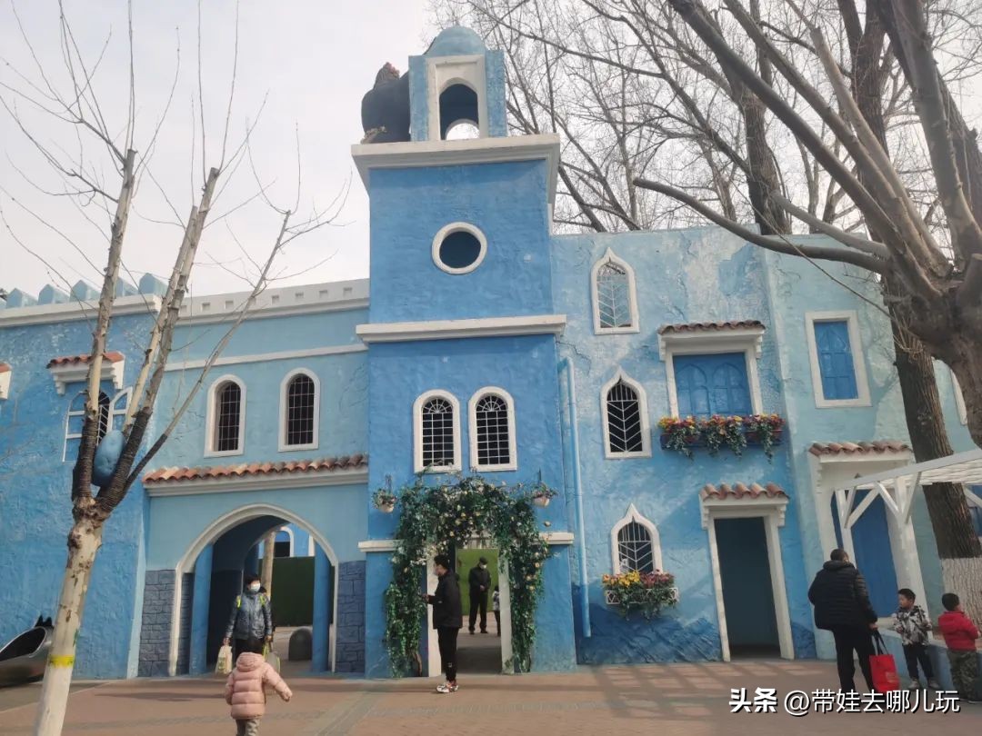 一天玩遍北京野生动物园,包场去鸟巢