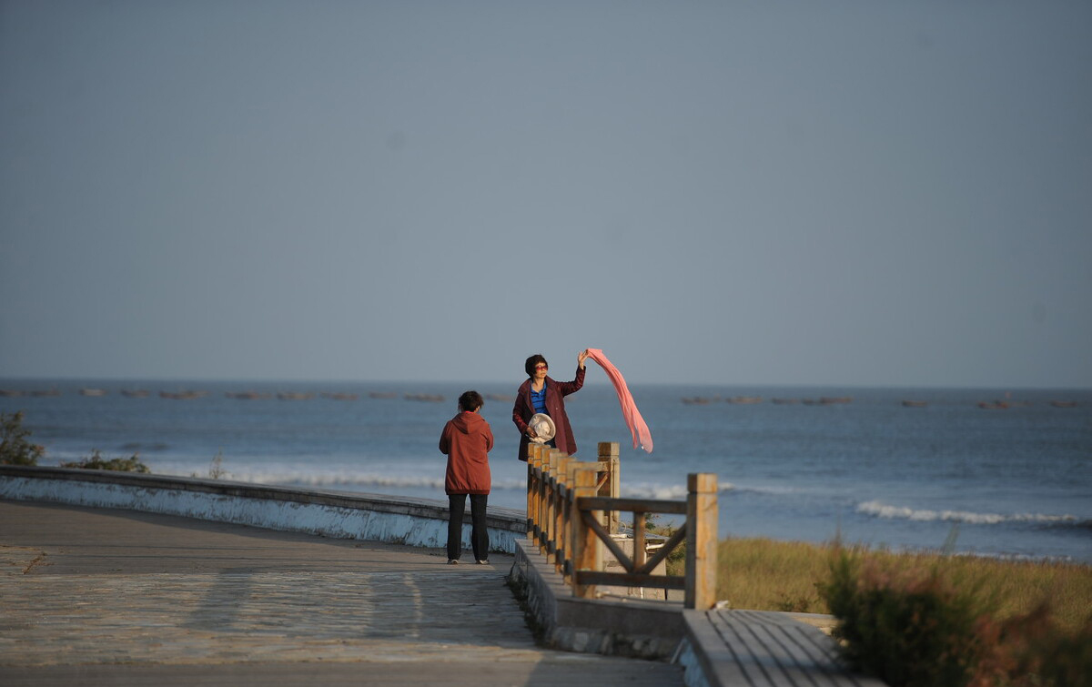 海鲜生蚝什么地方最好,国内哪个城市能实现生蚝自由