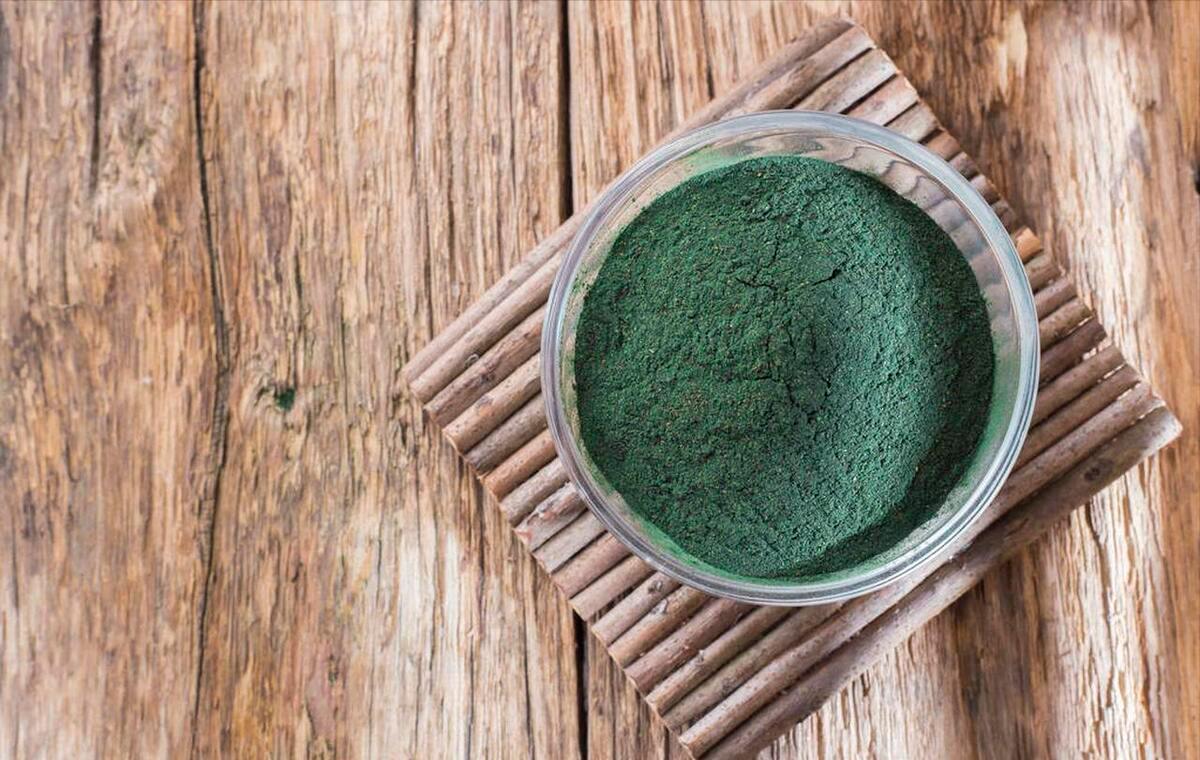 自家食用狗粮,推荐几款不掉毛的狗粮