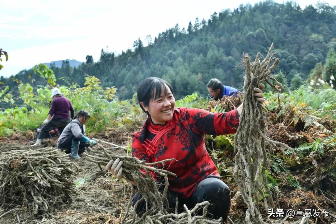 2019年出彩宣恩人,出彩宣恩评选结果公示