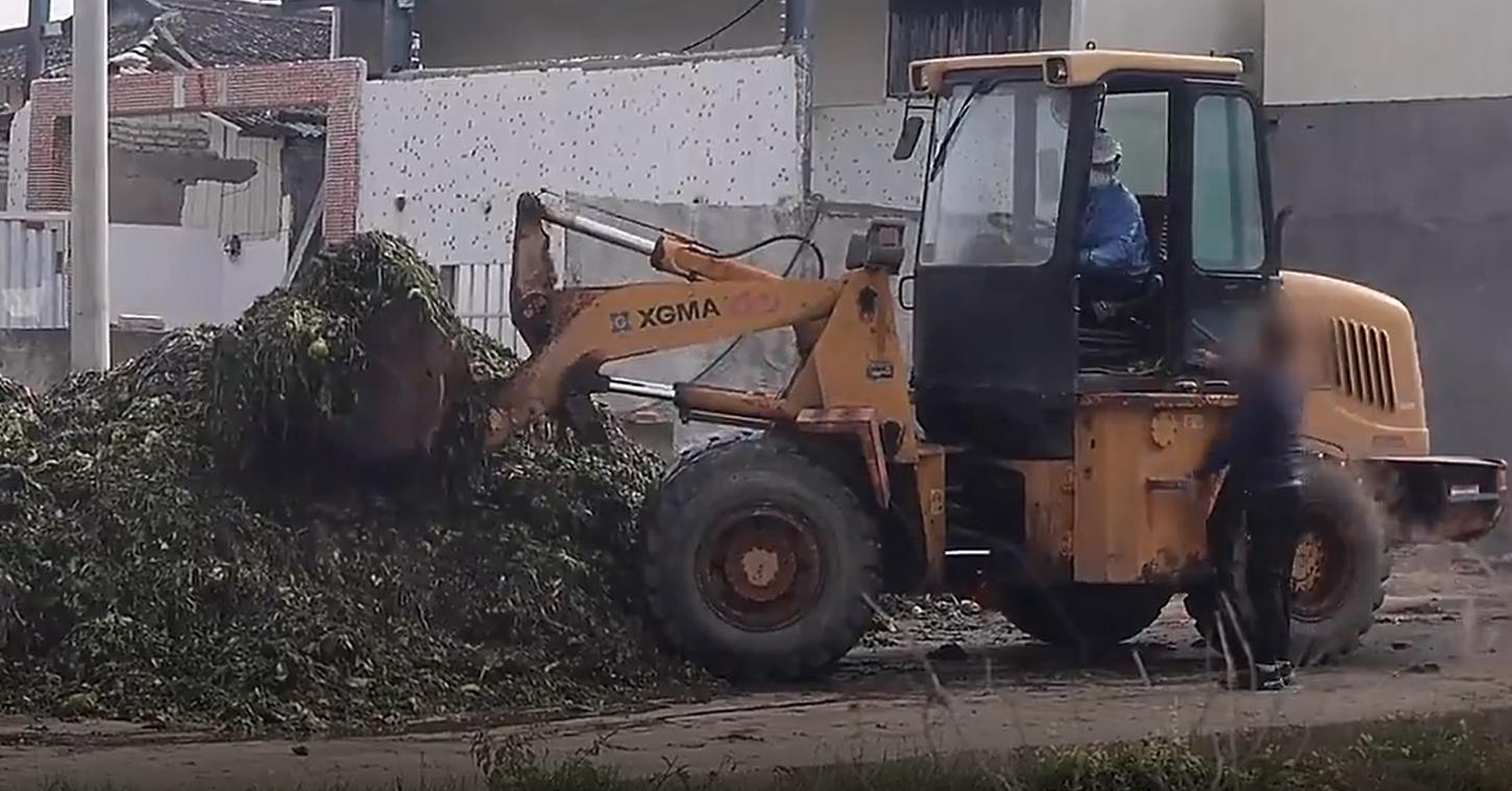 聚焦315消费者权益日橄榄菜案例,315曝光的橄榄菜是怎么回事