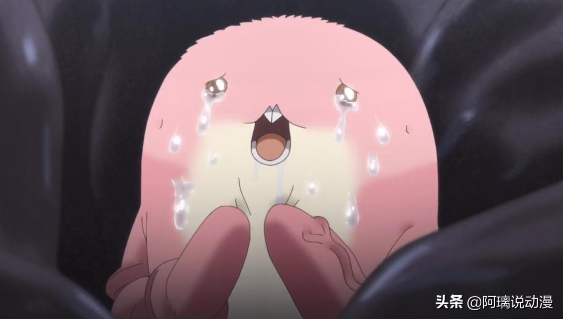 来自深渊莉可片段,来自深渊莉可真面目