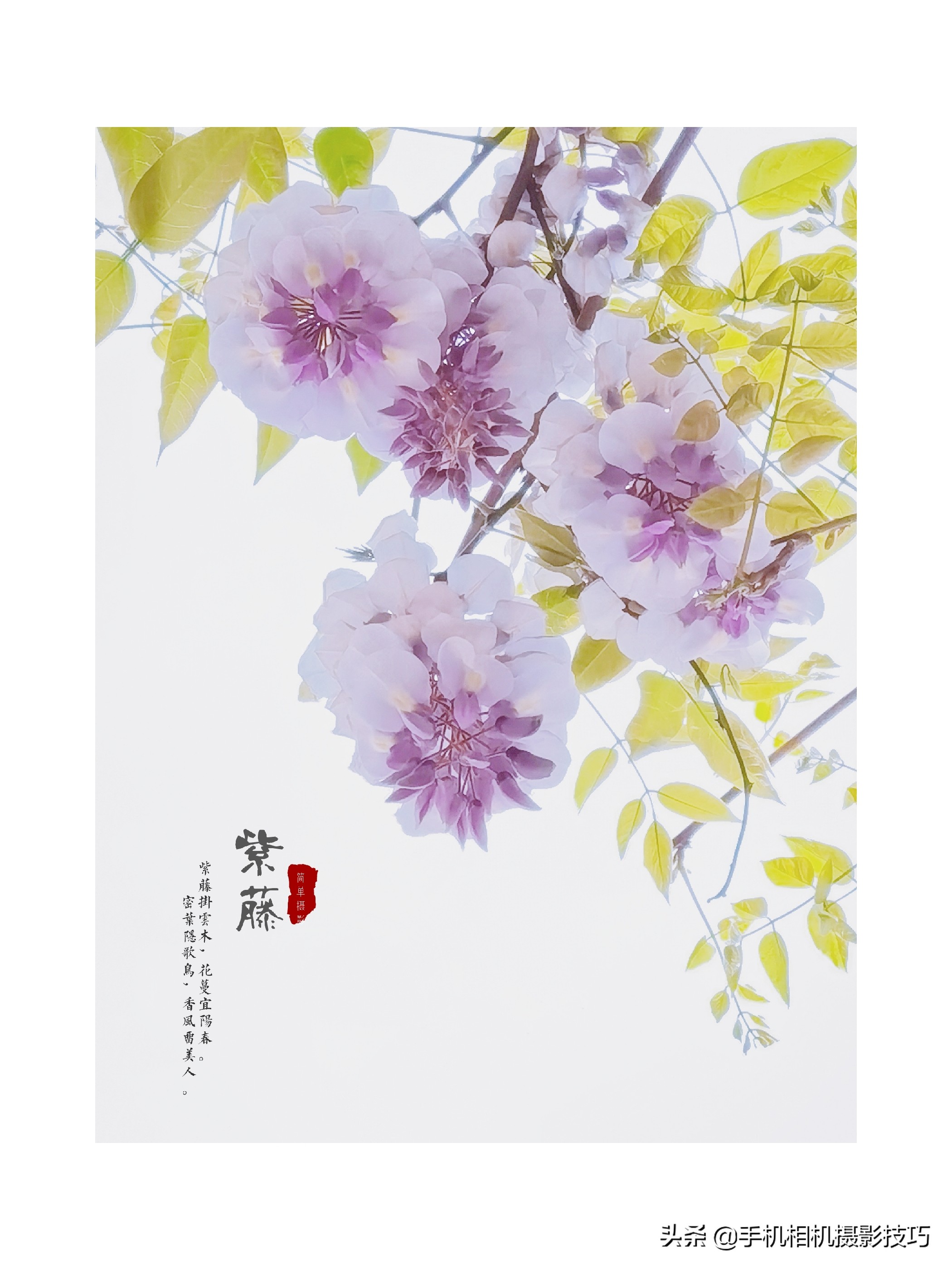 18组照片,18幅普通人拍出来的好照片