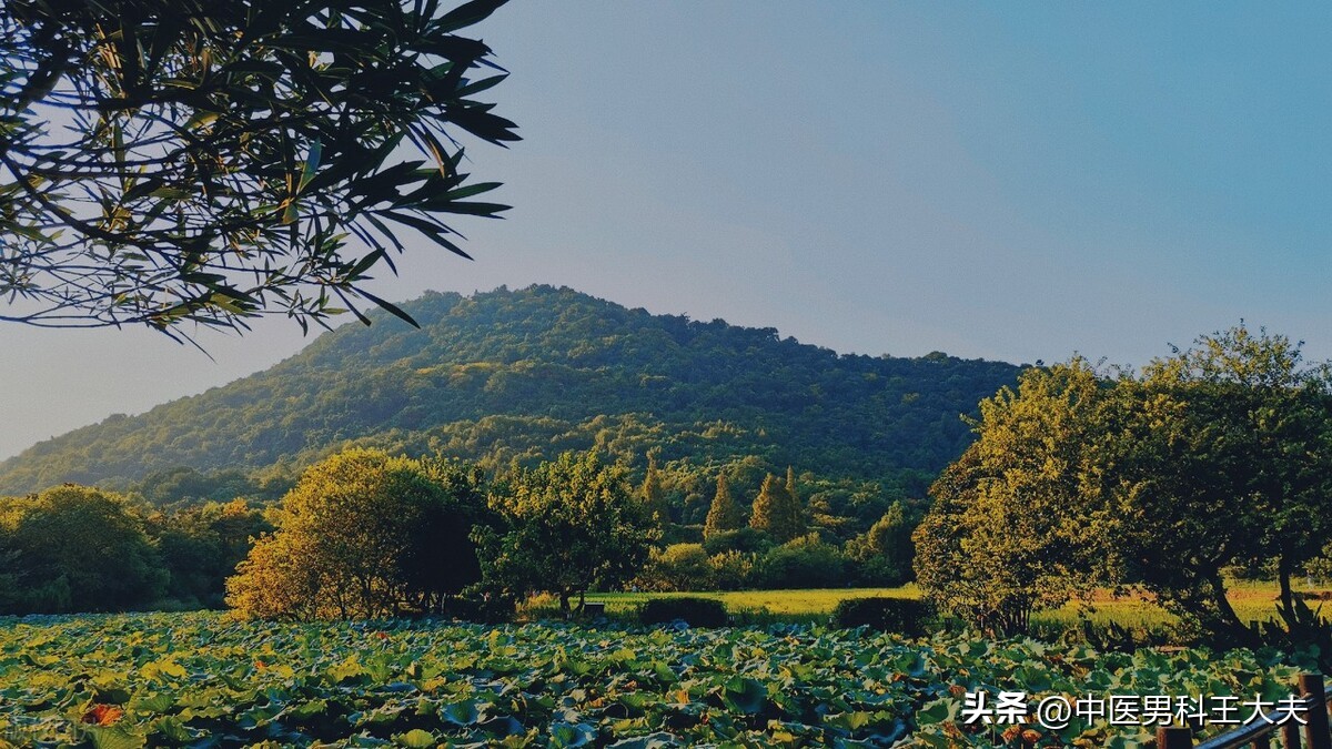 对于这种泄得快，不能盲目补阳，六味药以清代补复阳气