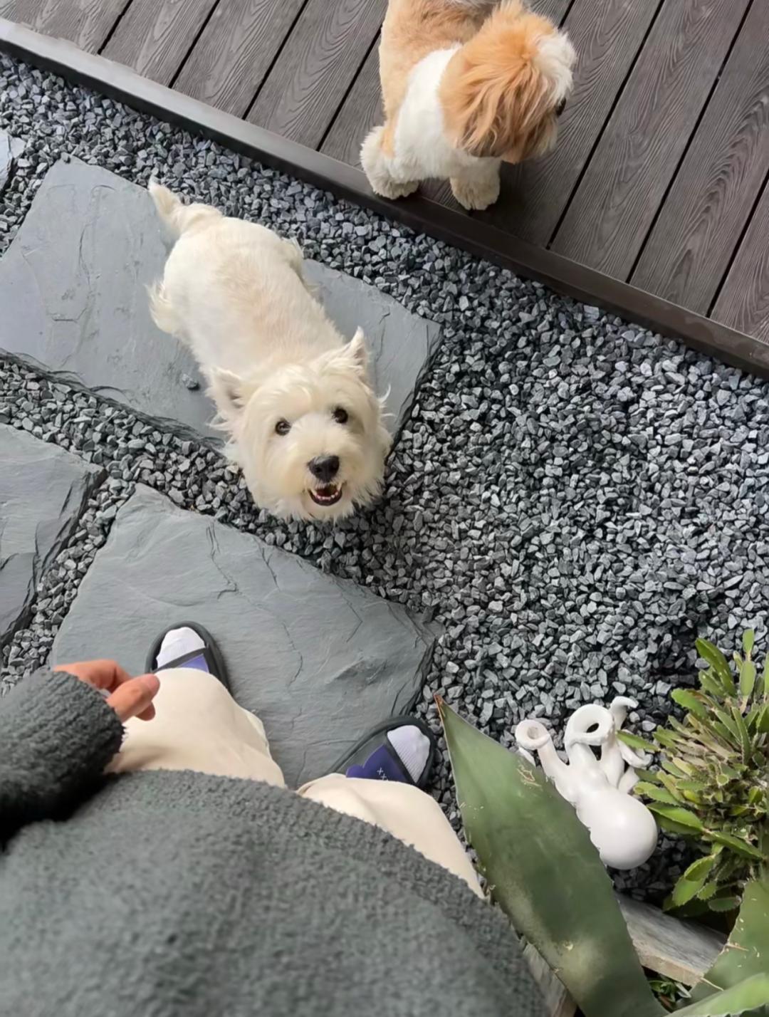 阳台砖与防腐木结合,阳台花园铺砖还是防腐木好