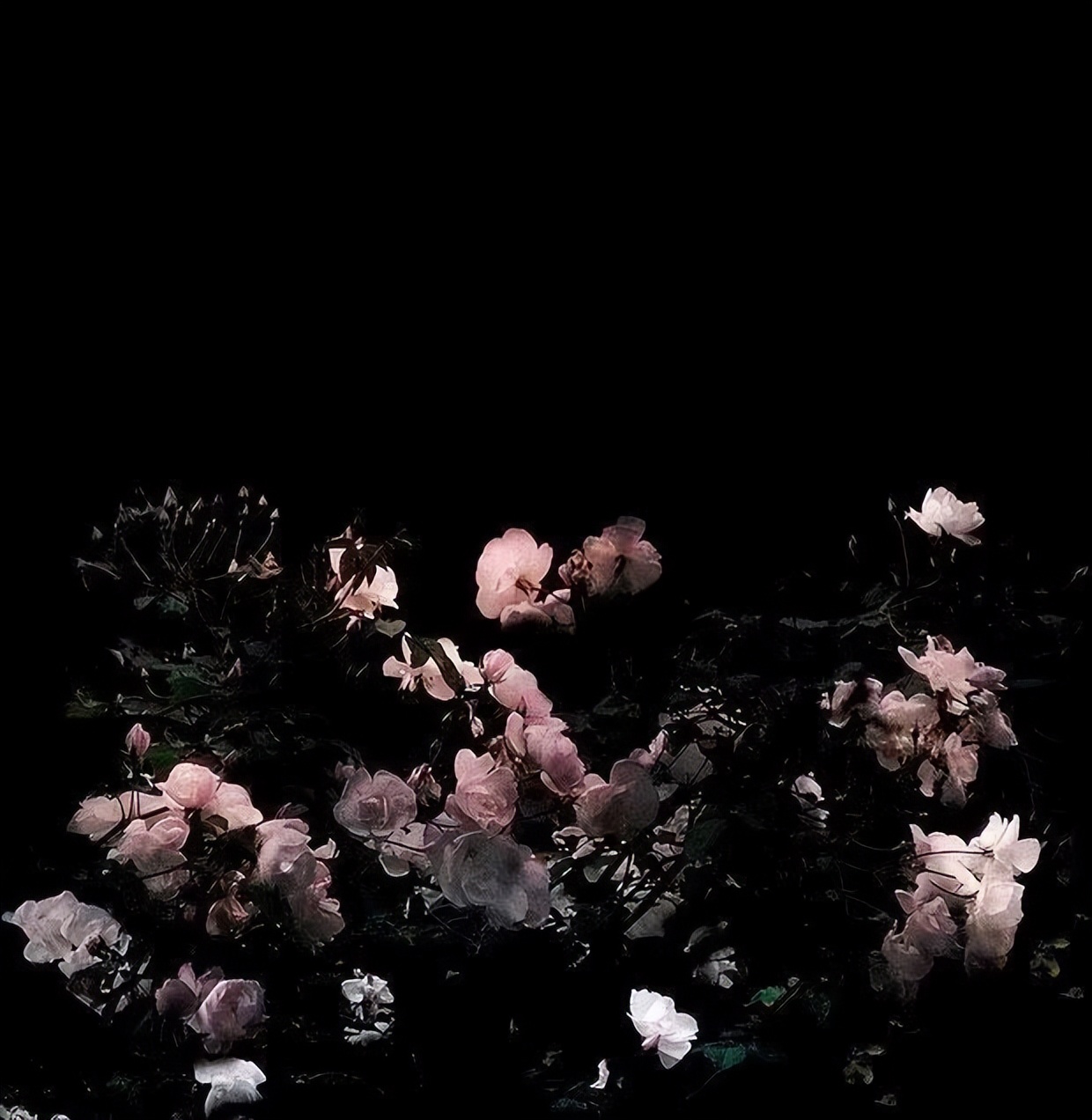 如果你被别人追到手了,假如你被别人追你会怎么办