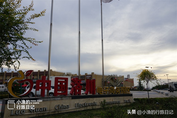 正宗陕西洛川红富士苹果水果,正宗陕西洛川苹果大果
