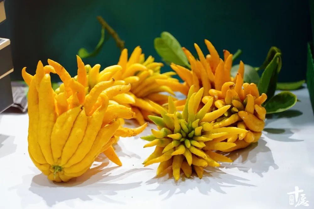 一杯佛柚,一份福佑,宝藏“佛柚”在厦门佛事展彻底火了