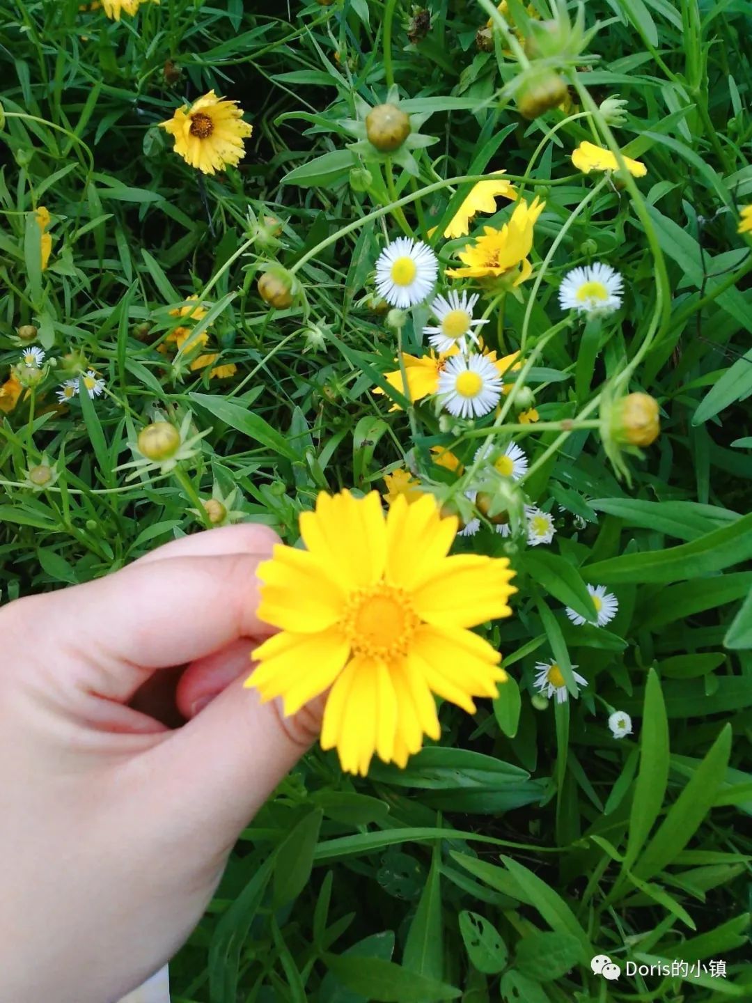 应届生保险经纪人之路,保险经纪人出路在哪