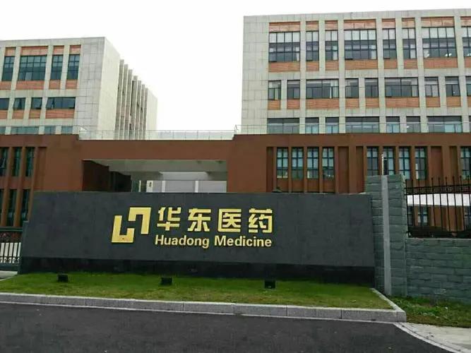 杭州大江东引进的大企业,杭州大江东的知名企业