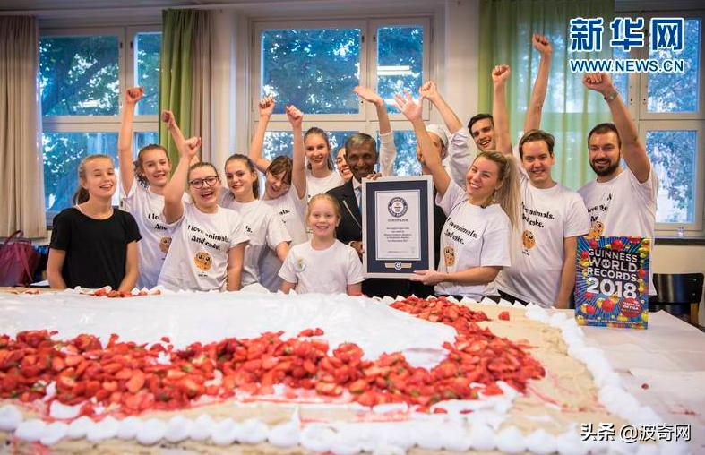 俄罗斯大块头猫咪,来自俄罗斯的猫