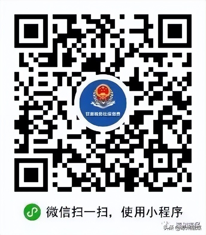 城乡居民医疗保险网上缴费指南,城乡居民医保线上缴费指南