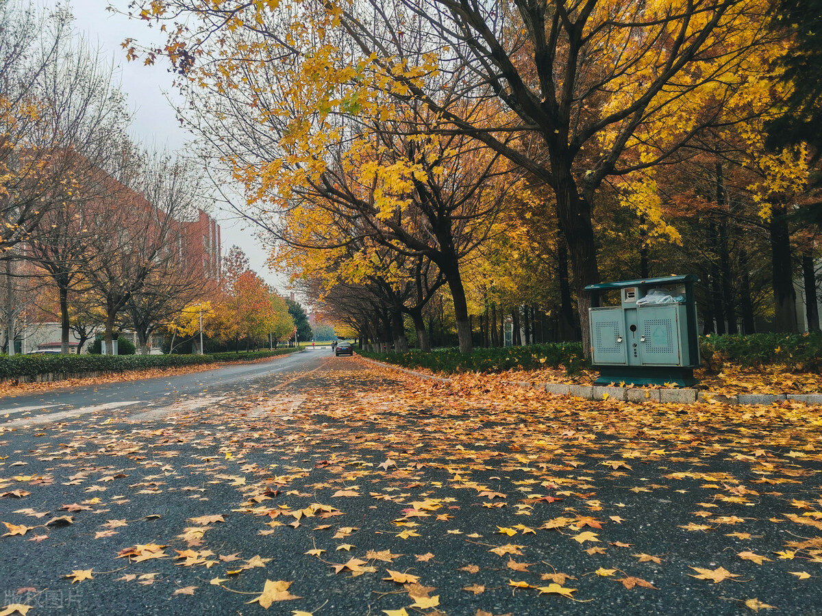 山东科技大学非全日制值得上吗,山东科技大学未来发展前景