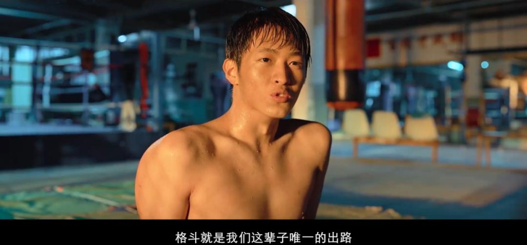 王宝强八角笼中陈思诚拿了多少,王宝强八角笼中谈陈思诚