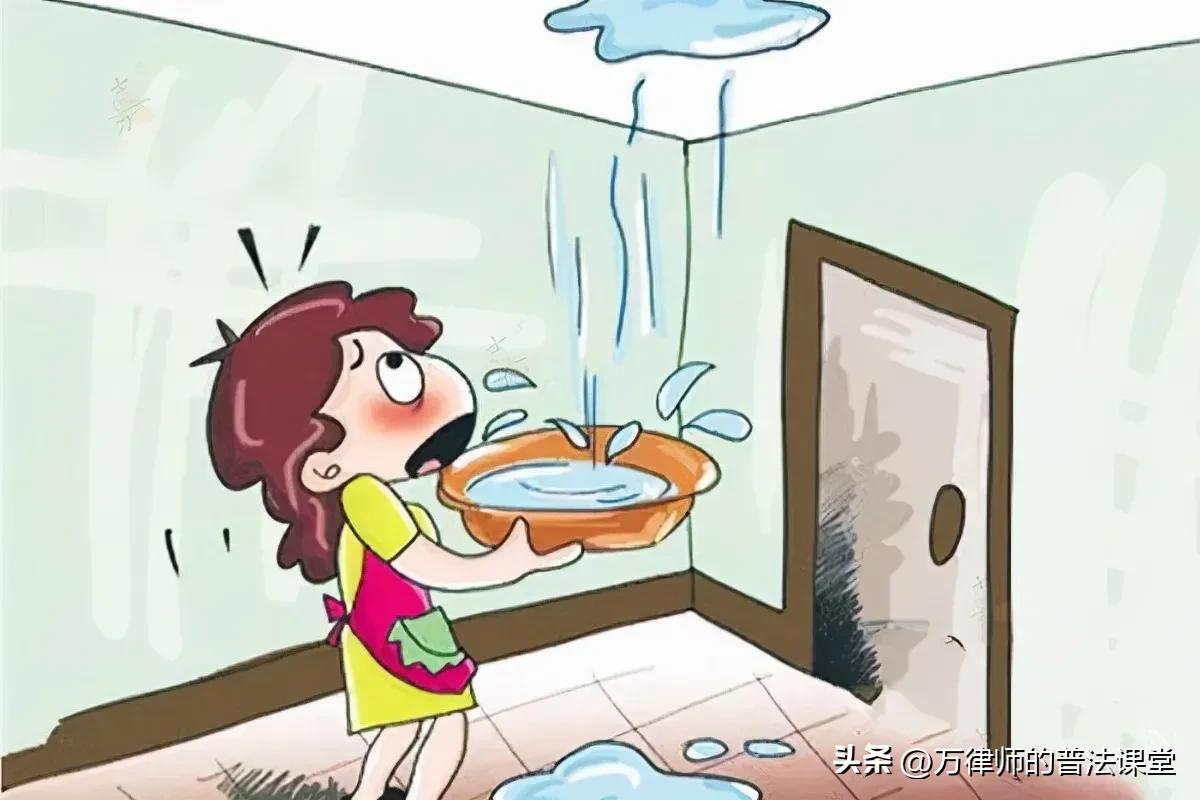 房屋漏水起诉开发商起诉书怎么写,房屋漏水和开发商打官司诉状样本