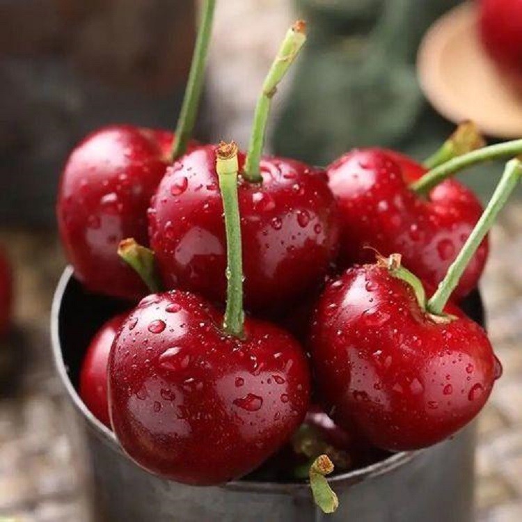 车厘子跟苹果有什么关系,车厘子与苹果的区别