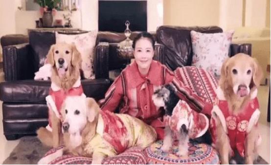 最有钱女明星刘亦菲,刘亦菲秀名贵翡翠大耳环