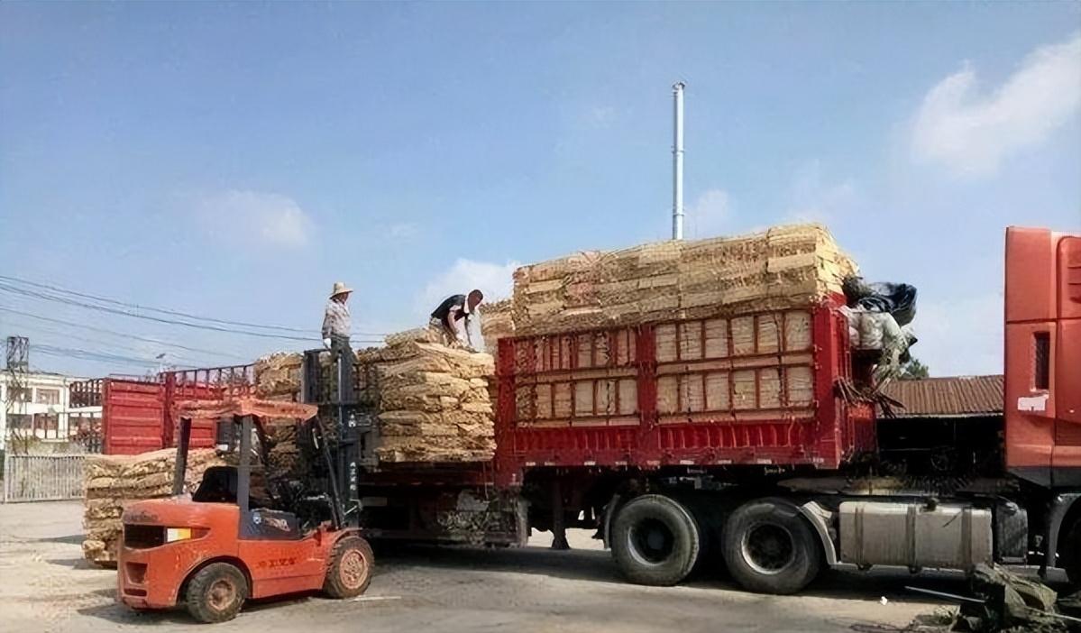 90后卡车夫妻记录卡车生活,1700万卡车夫妻的真实生活