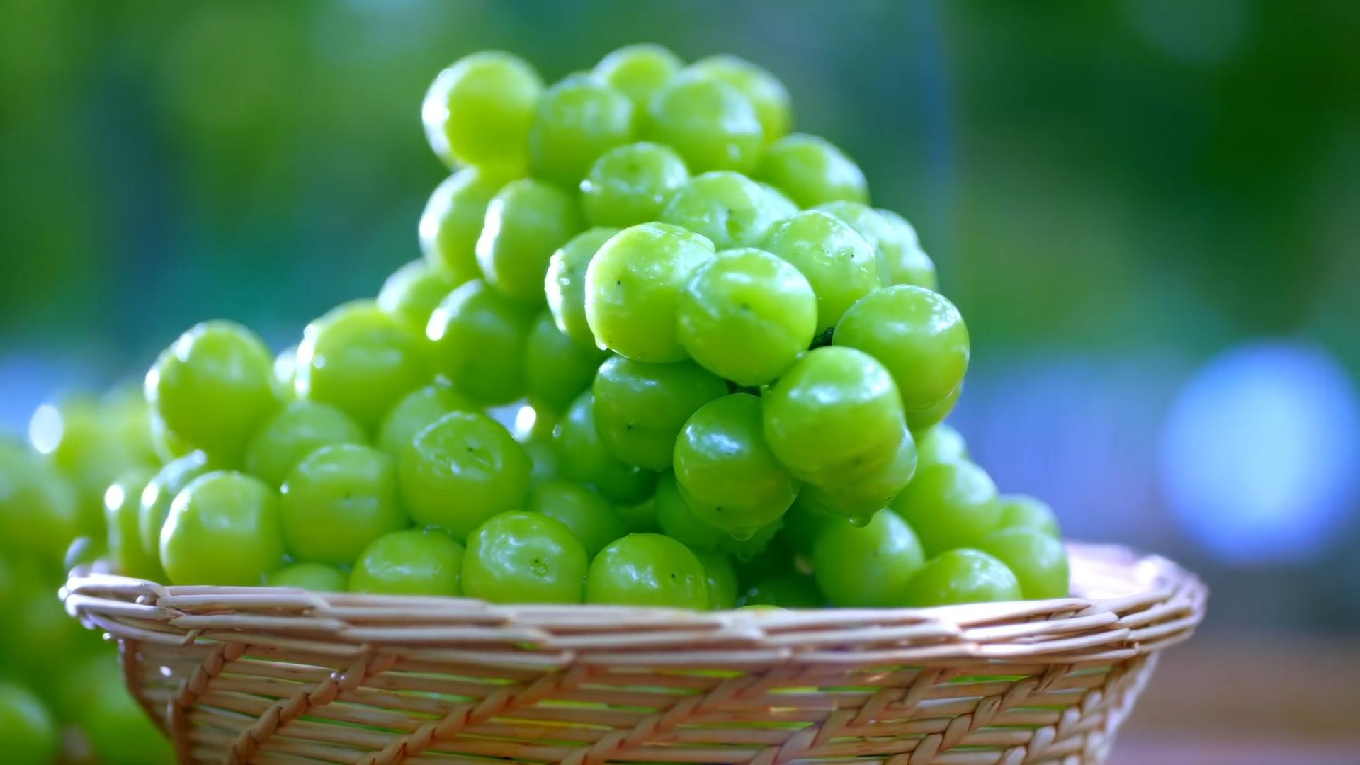 在日本阳光玫瑰多少钱1斤,日本的阳光玫瑰多少钱一斤