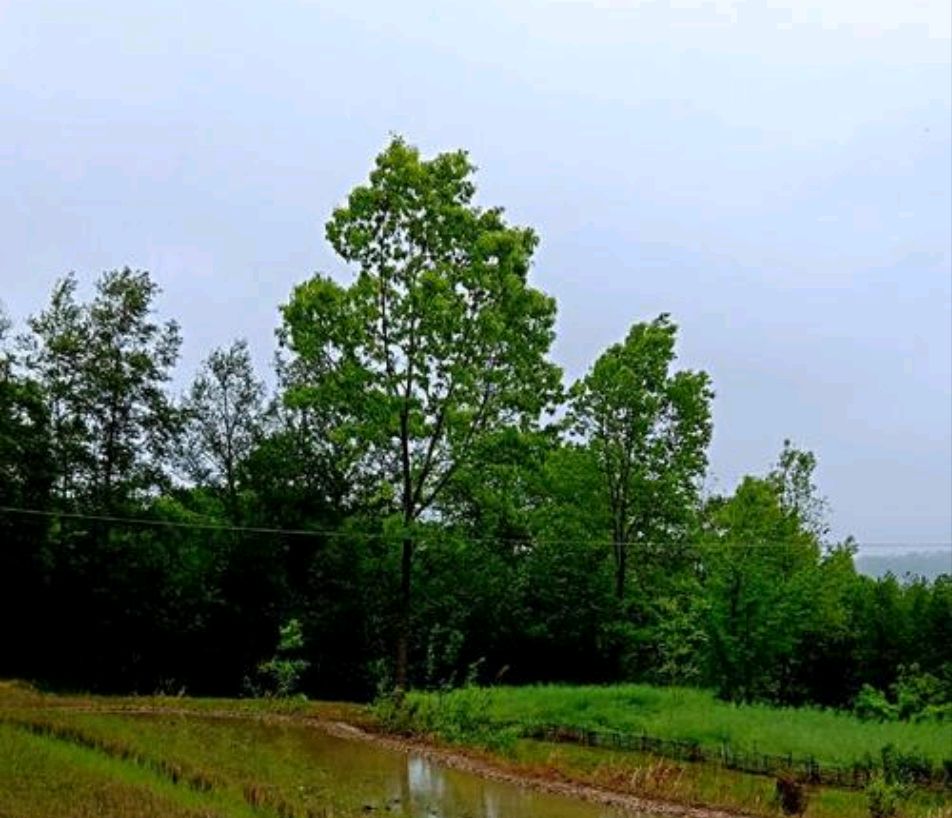 农村哭丧棒有讲究吗,出殡哭丧棒有什么讲究