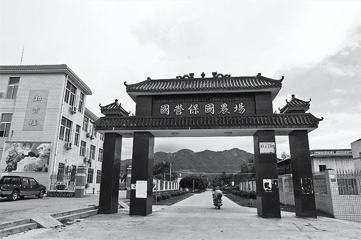 干部发现山头长得像毛主席，孔令华初见落泪，李讷感叹：太像了