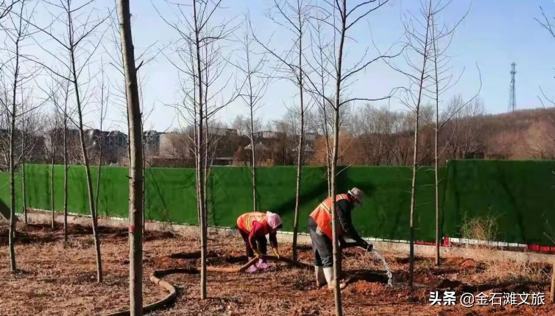 金石滩十二时辰！疫情下的光影轮转！