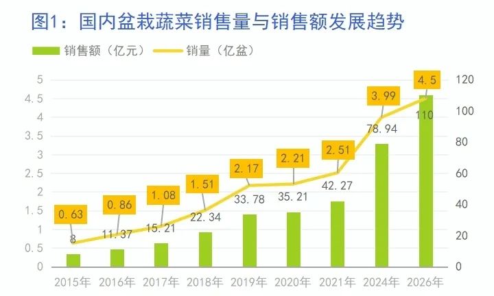 盆栽蔬菜销路,盆栽蔬菜市场前景视频