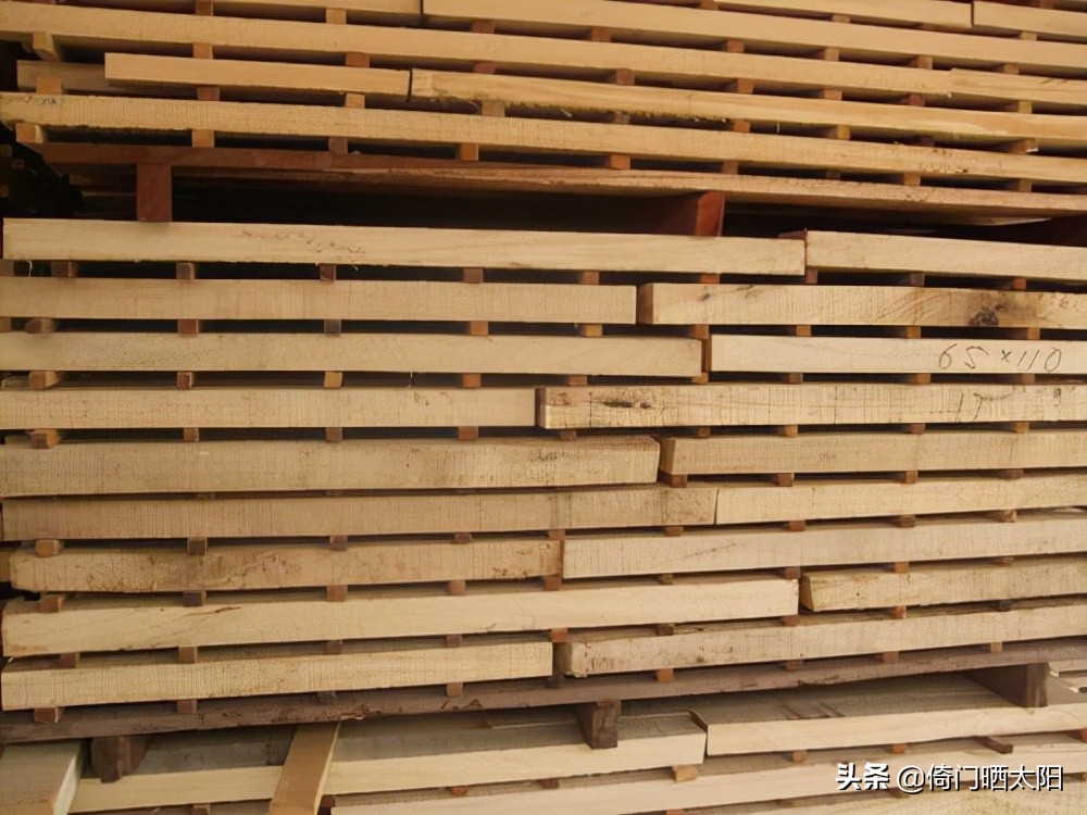 史上比较全的乒乓球底板知识之二:力材和芯材