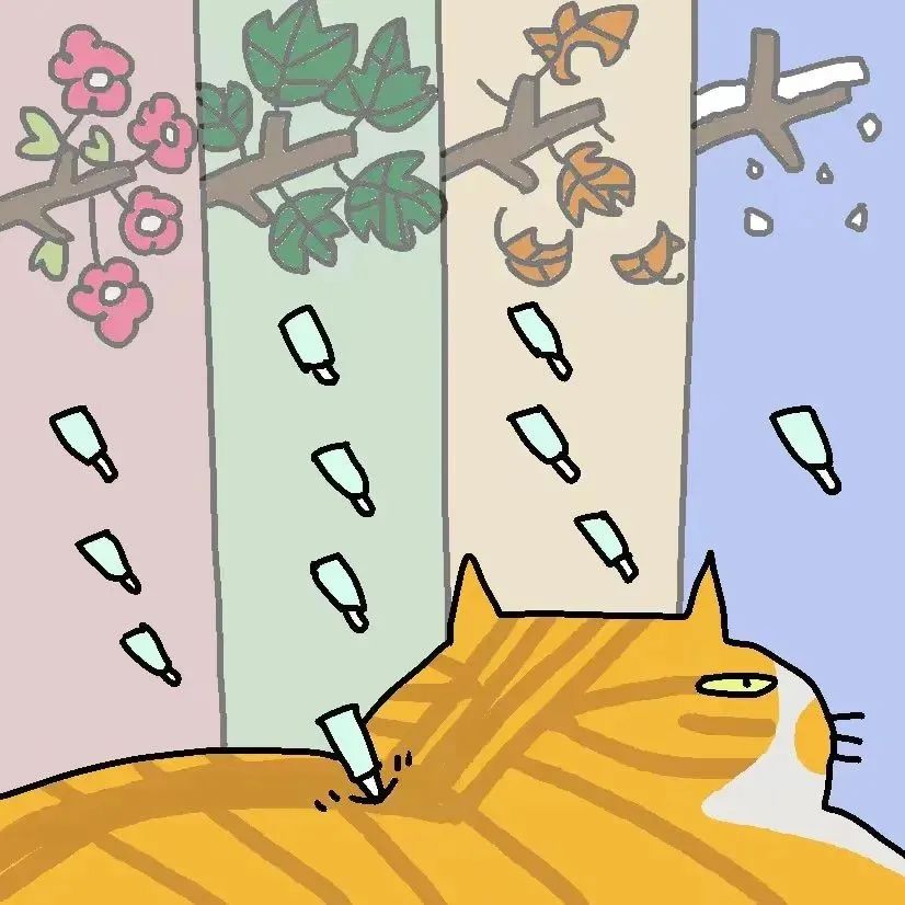 猫咪怎样驱跳蚤和蜱虫 (小猫身上有跳蚤了做外驱有用吗)