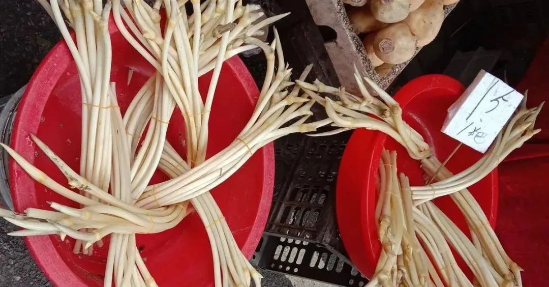 关于实施临时道路交通管制的通告,荆州最新交通管制通知