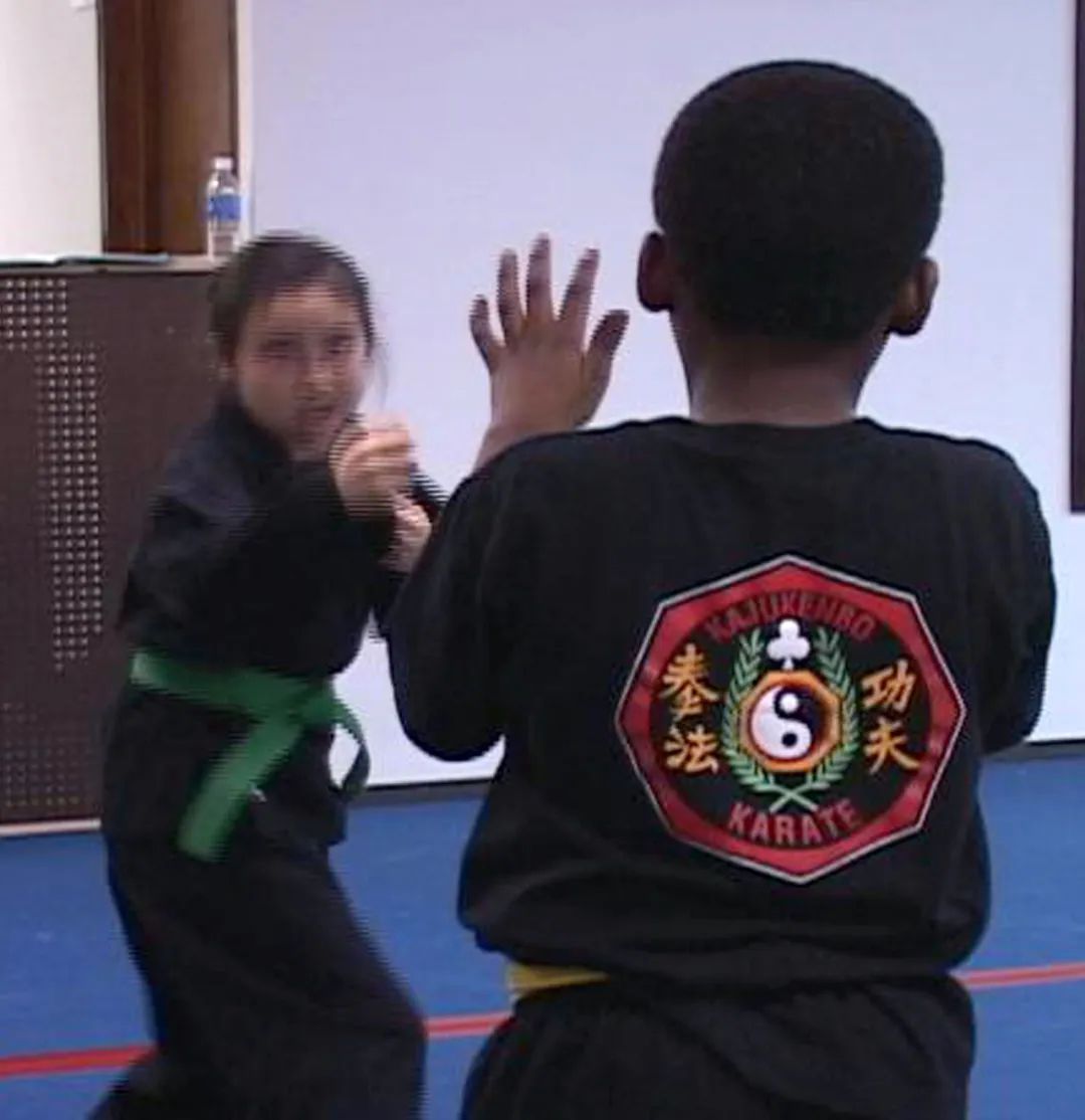 中国武术美国武术,美国传统武术