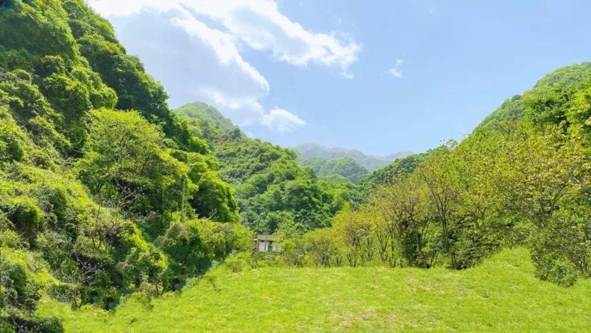 西安祥峪森林公园雪景,西安夏季避暑一日游好去处免费