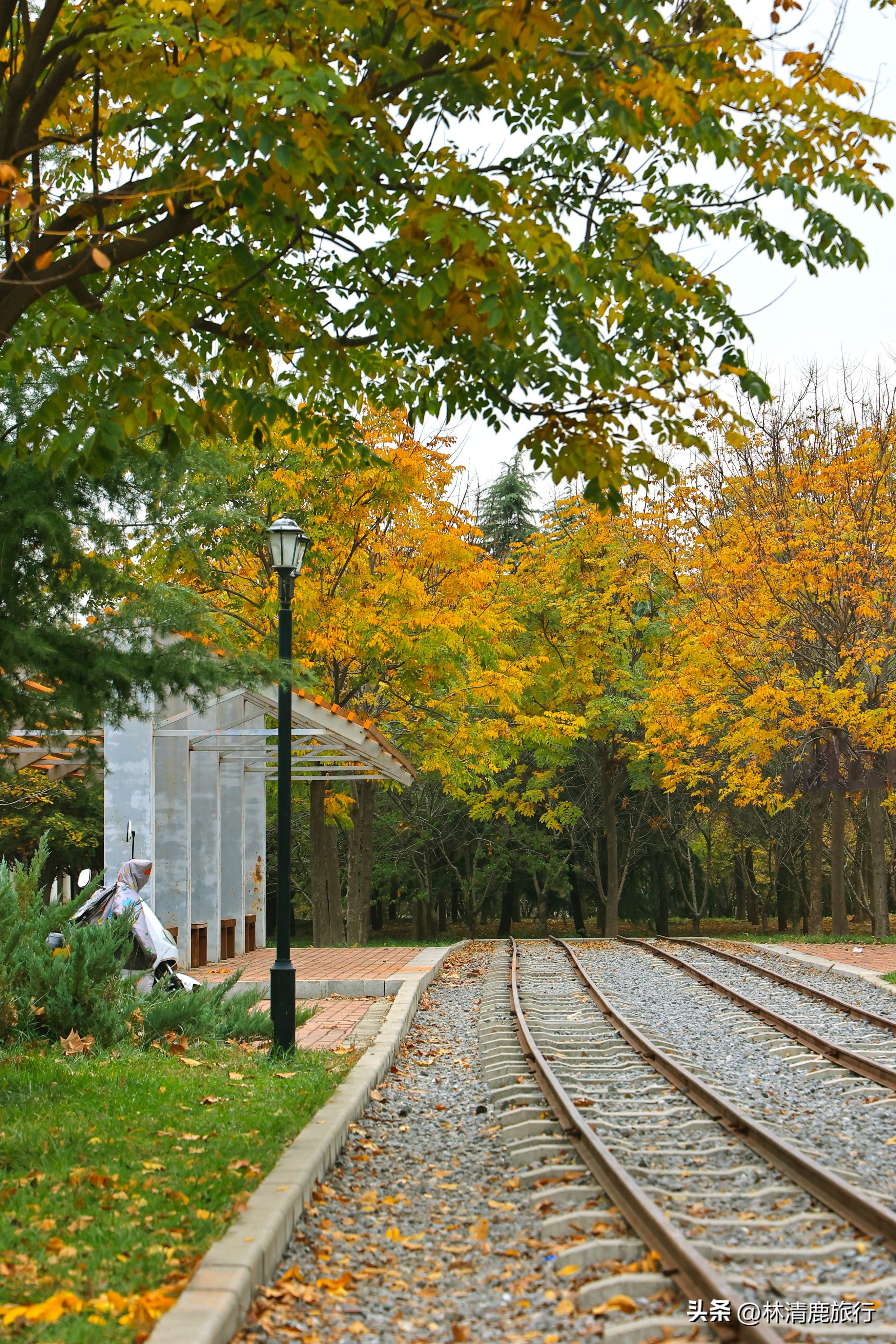 郑州哪个公园有火车,郑州有铁轨的公园