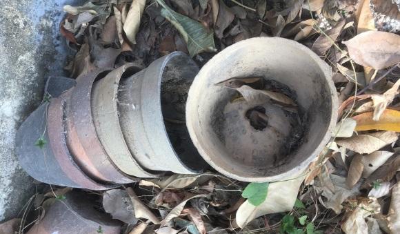 村里的花盆厂倒闭了，堆积成山，不花钱都没人要，真是可惜