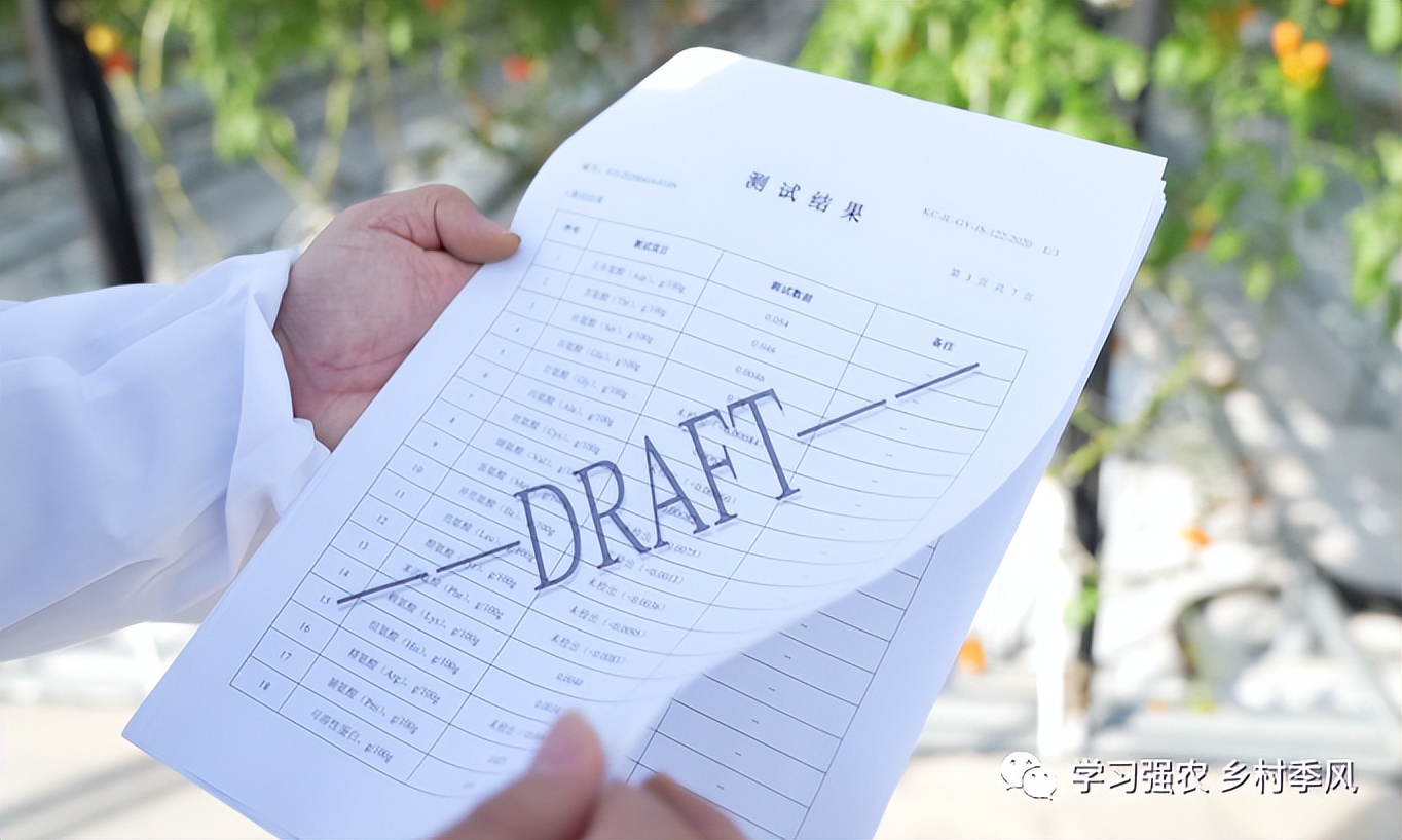 比西瓜甜的小番茄,比西瓜还甜的甜心