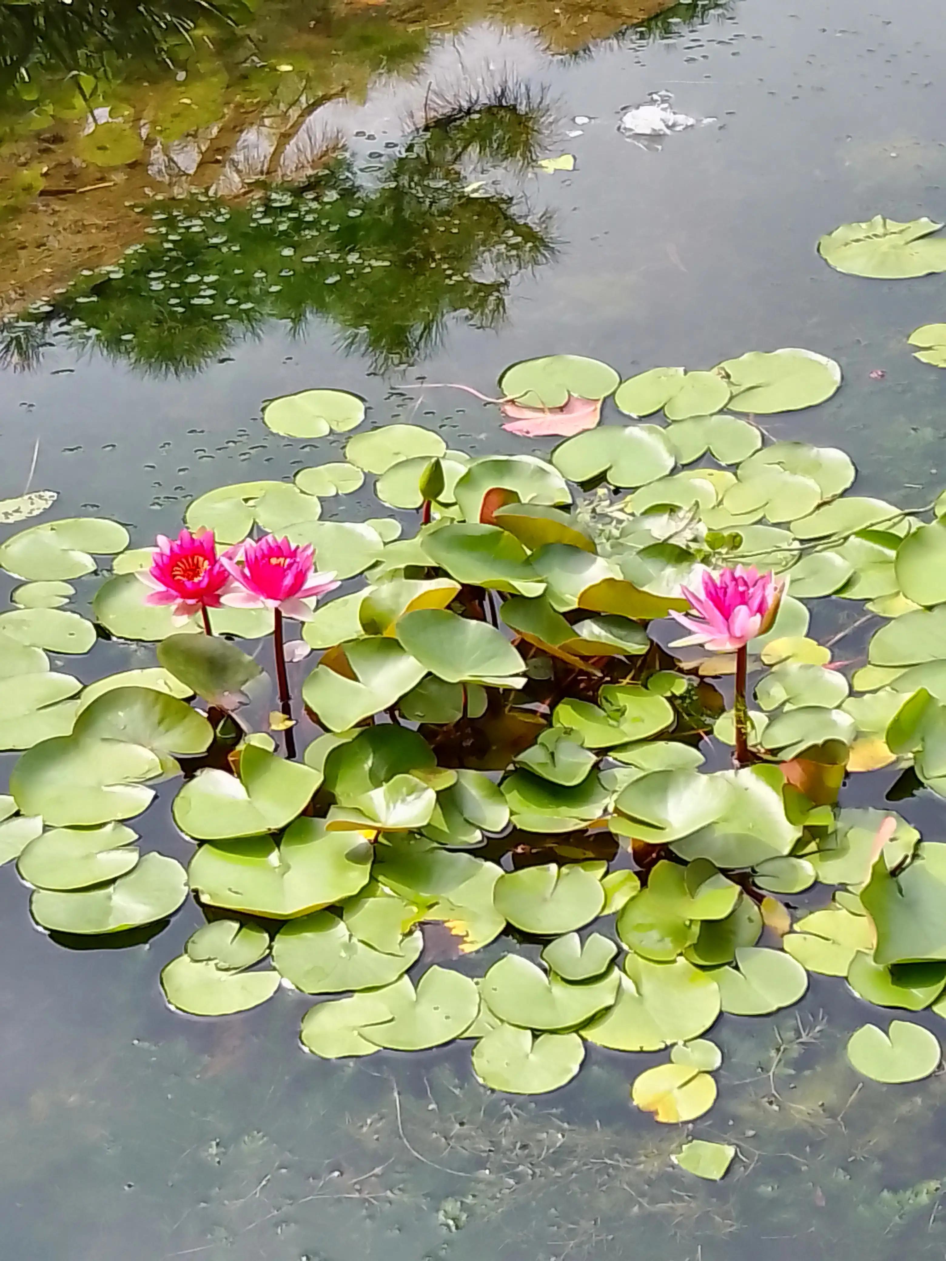 孤独寂寞随笔100字,一个人很寂寞随笔