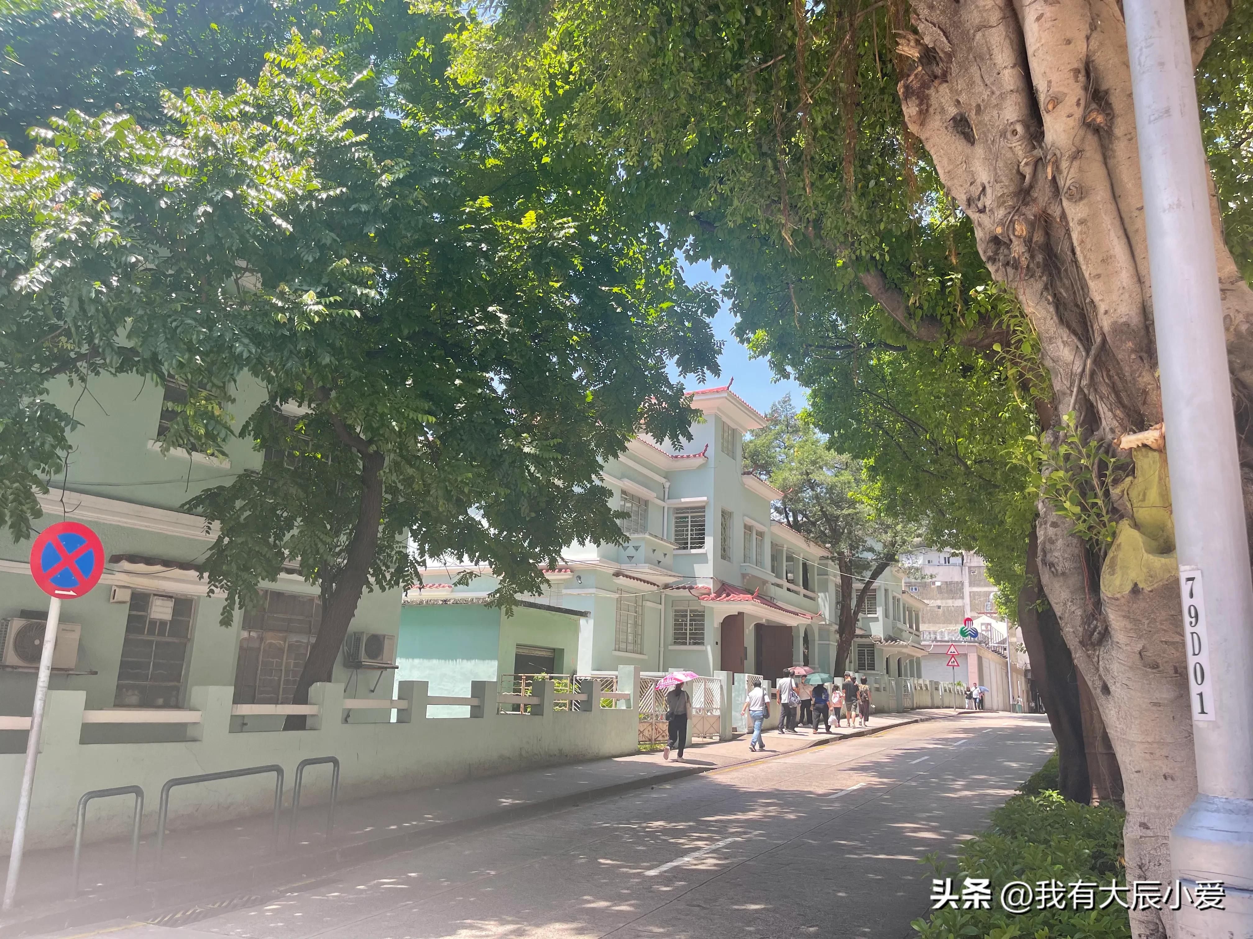 去澳门带小孩攻略,带娃去澳门好玩吗