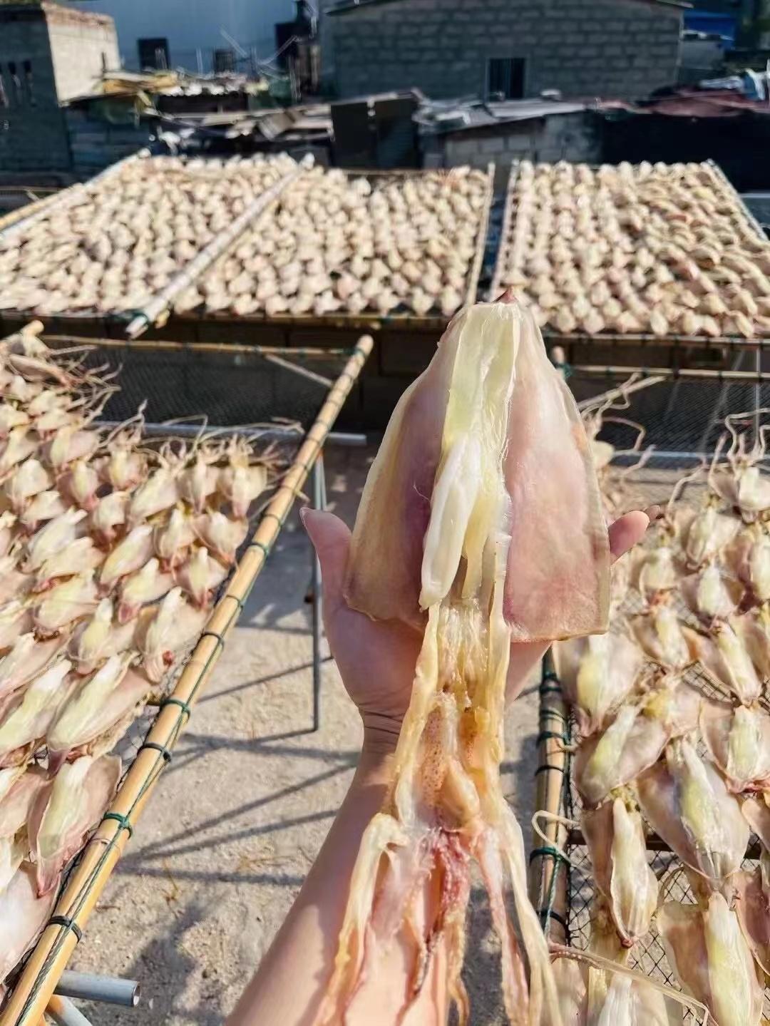 正宗福建淡水鱿鱼干无盐淡晒,正宗福建特产淡干大鱿鱼干无盐