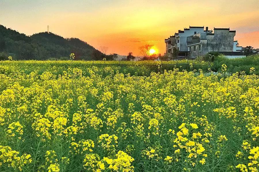 雨水哲理,雨水的好句