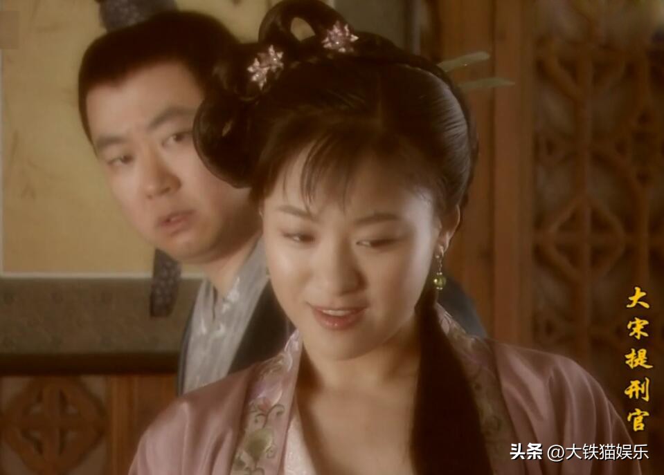 大宋提刑官三个人的故事,大宋提刑官怎么看不了了