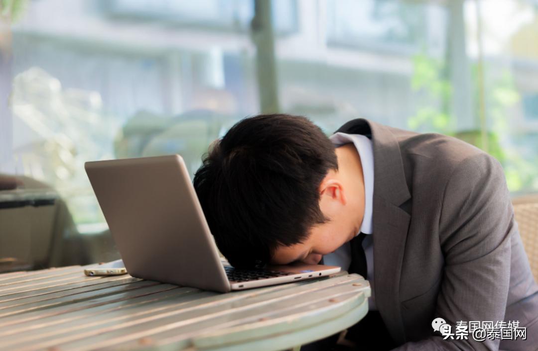 冤鬼大项目：在泰国做电商的中国老板，是如何一步步被玩死的？