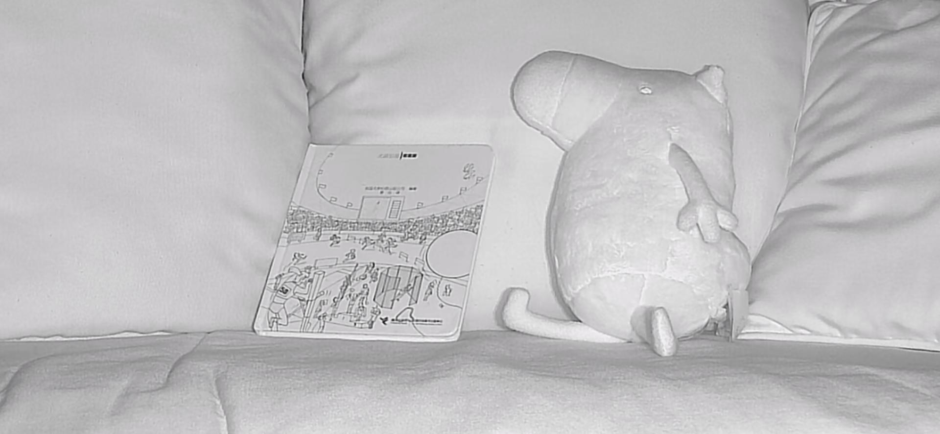 最新家用摄像头功能介绍,家用摄像头安全性排名