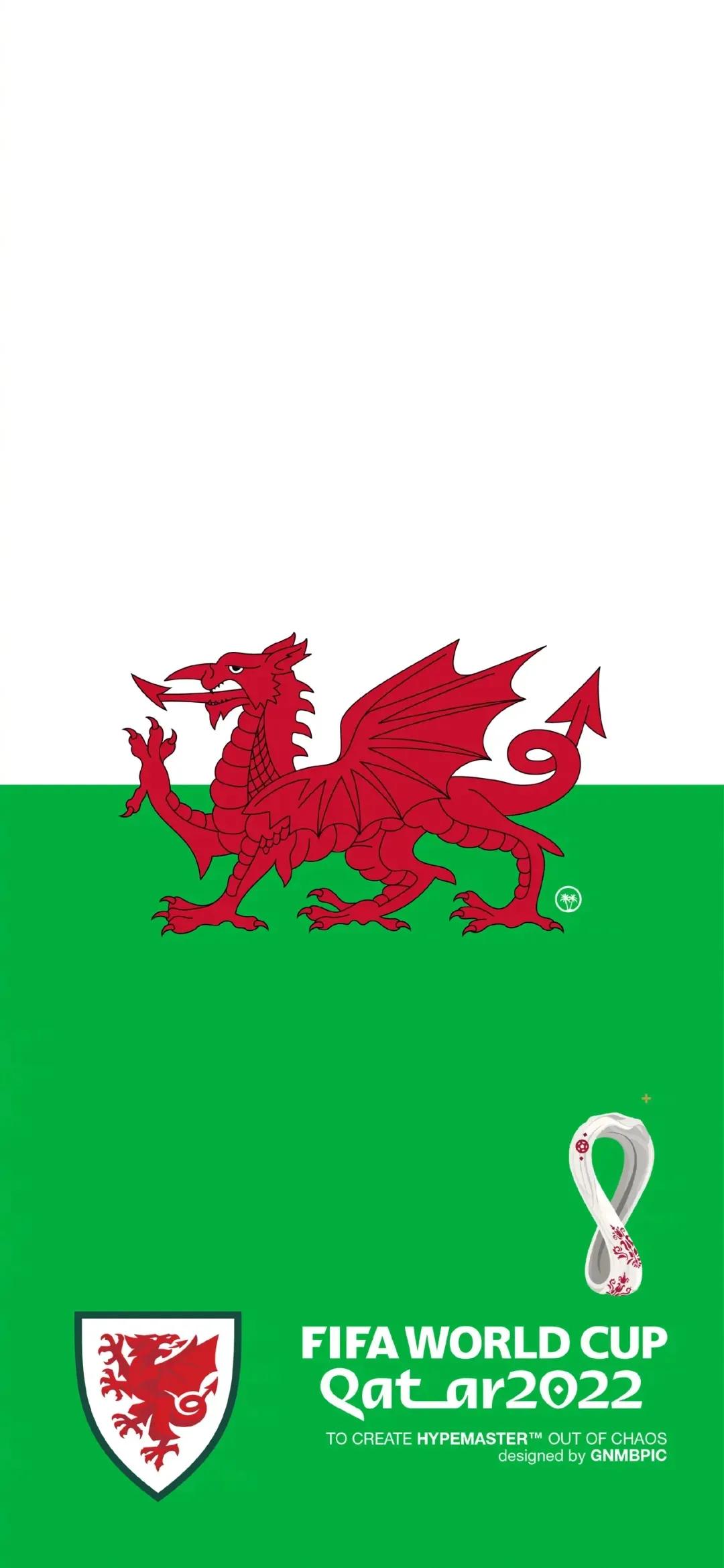 2022世界杯参赛球队手机壁纸精选