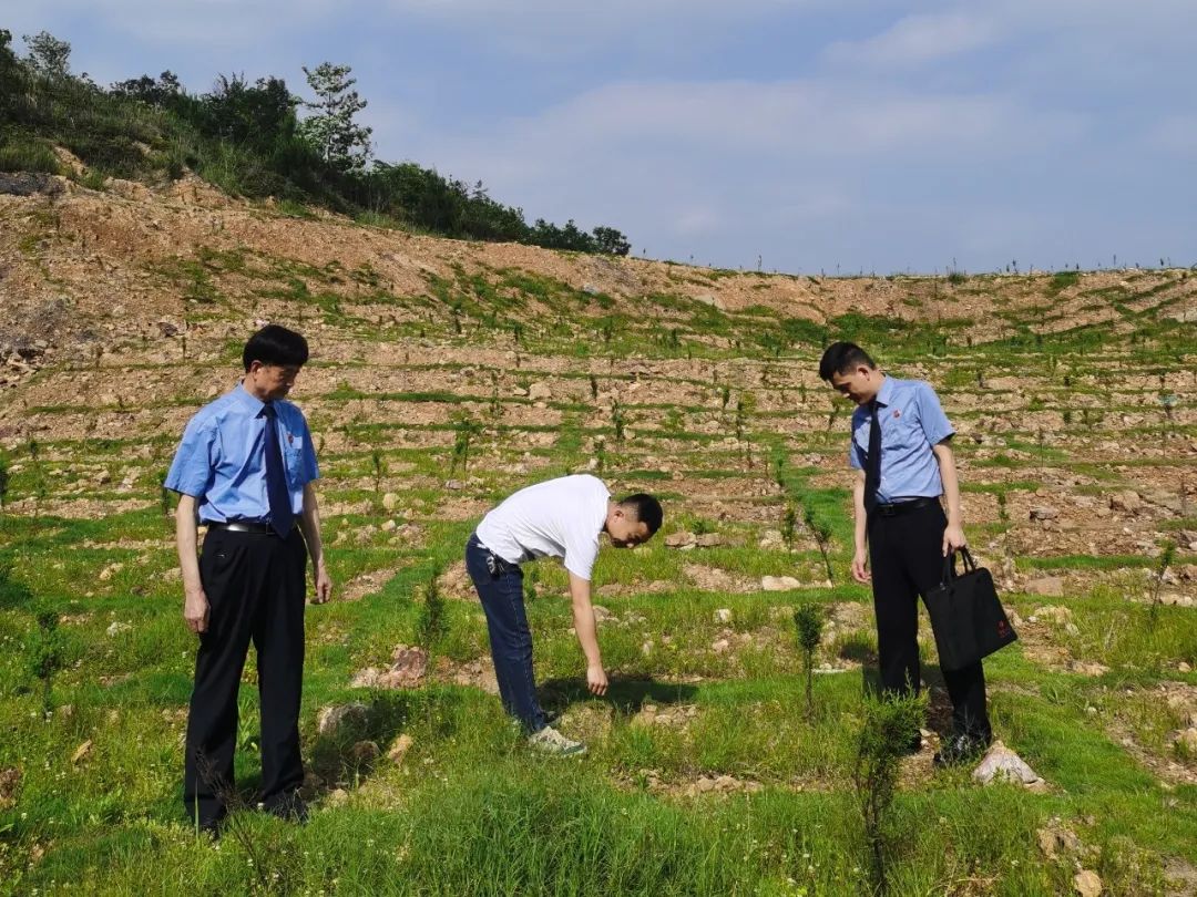 检察机关督促整治非法采矿,非法采矿罪300多万案例