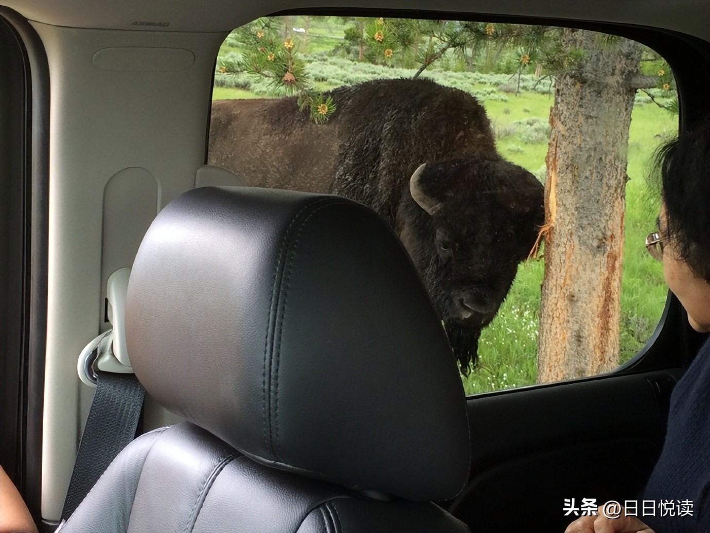 美国黄石国家公园经典风景图片,美国黄石国家公园在地图怎么找