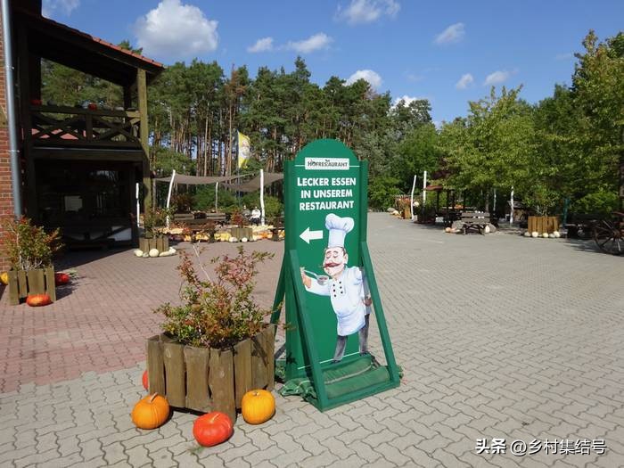 寰峰浗鑺︾瑡鍐滃満,鍏嬭幈鏂墭鑺︾瑡浣撻獙