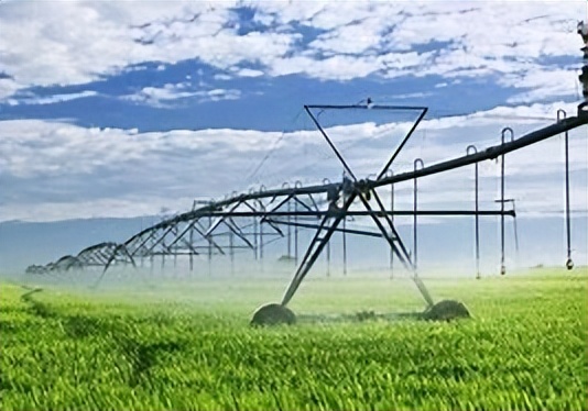 利用林业资源带动经济发展的举措,利用与发展