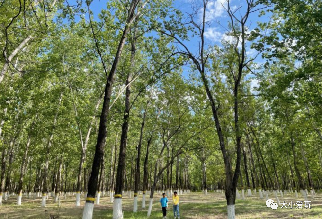 滨河公园带娃玩水,推荐一个好地方滨河公园