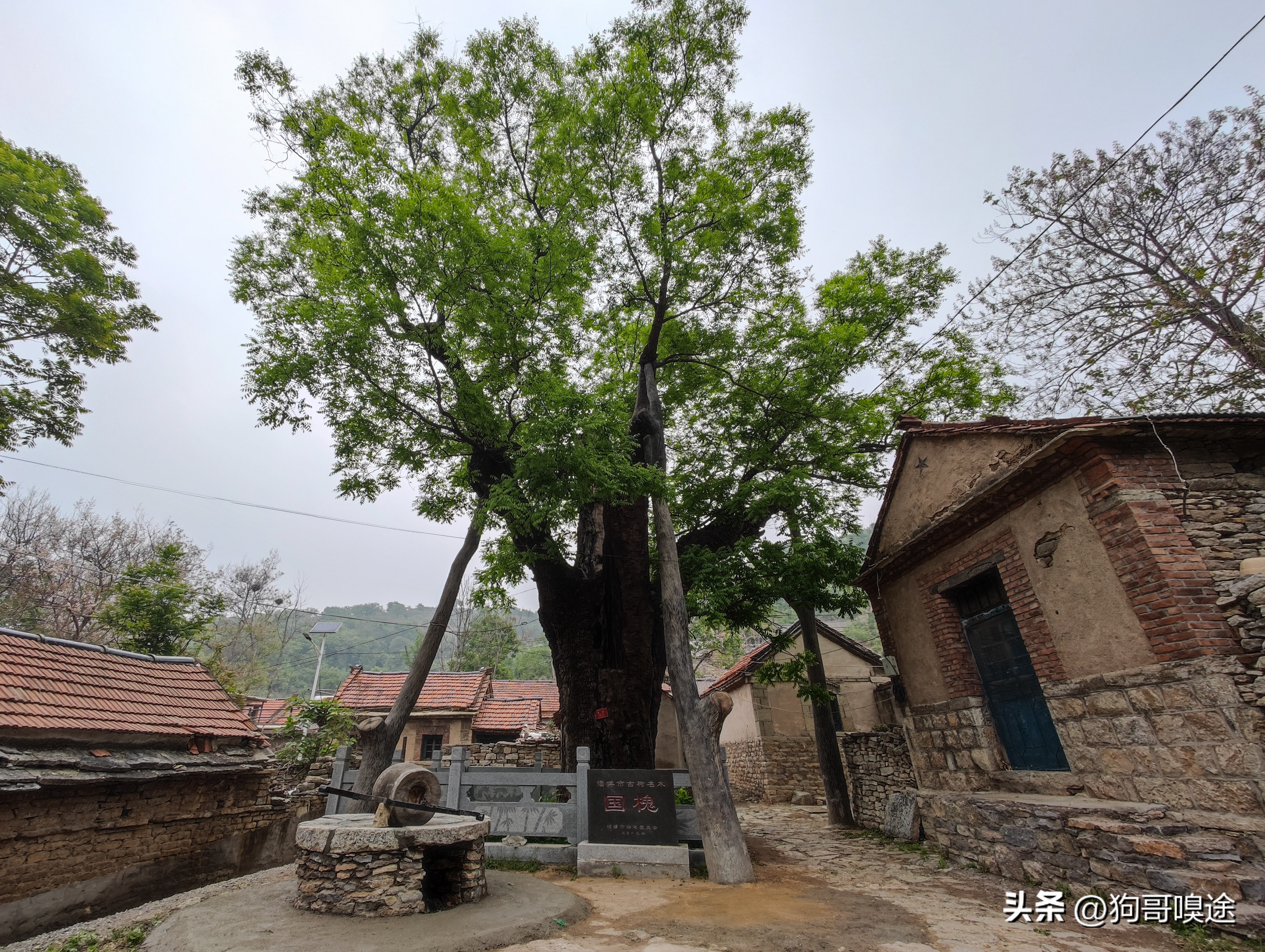 淄博大山里的古老山村,淄博十大最美古村落
