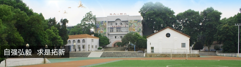 武汉市排名前十的小学名单,武汉光谷十大小学排名